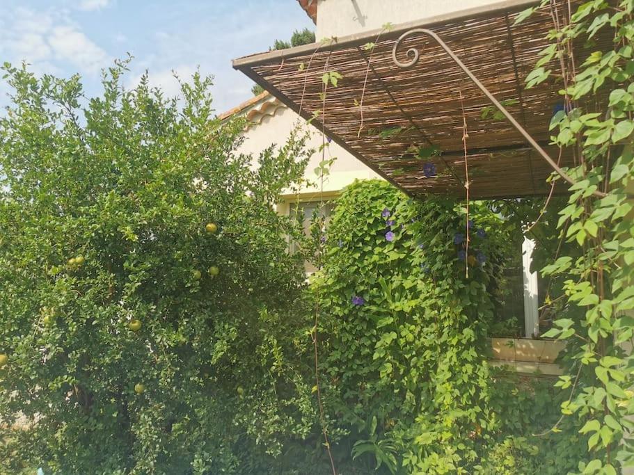 Maison Avec Piscine Dans Village Provencal. Courthezon Bagian luar foto