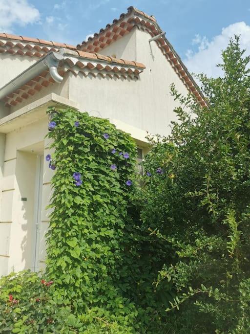 Maison Avec Piscine Dans Village Provencal. Courthezon Bagian luar foto